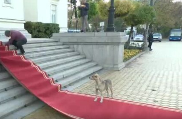 Още от рано сутринта пред сградата на Народното събрание застана